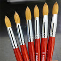 Oval Crimped Shaped Acrylic Powder Nail Art Brushes Kolinsky Germany Acrylic Nail Brush Flat