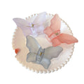 YiYi Wholesale Korean Popular Women Hair Claws Large Plastic Butterfly Transparent Hair Claw Clips for Lady
