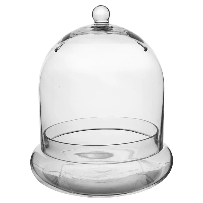 Custom Made Clear Hand-blown Glass Cloche Terrarium With Holes for Indoor Gardening