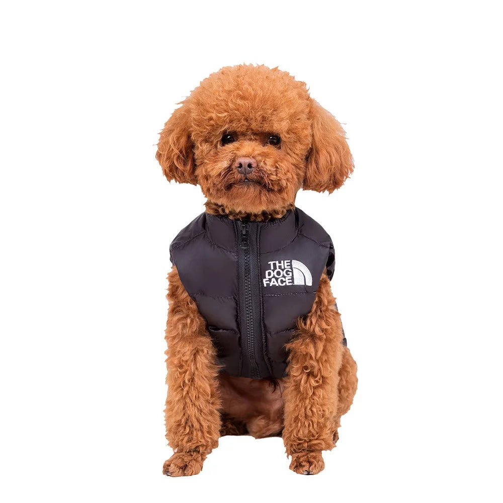 High Quality Good Selling Dog Clothes Autumn and Winter Pet Dog Small Dog Teddy Bear Thick Warm Down Clothes Waistcoat