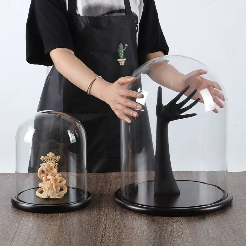Glass Dome with Dark Walnut Wooden Base Home Decor
