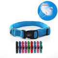 Soft Padded Design Plastic Air Mesh Dog Collar for Training Customizable Logo Bulk Orders Glow Castle Brand