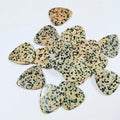 Huiying Smooth Edges Crystal Dalmatian Jasper Guitar Accessories Picks Accessary