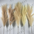 B-5506 Free Sample Fluffy Artificial Pampas Flower Black Pampas for Home Decoration
