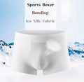 Nylon Seamless Underwear Panties for Men High Elasticity & Breathable Mid-waist Ice Silk Boxer Perfect for Sport & Daily Wearing