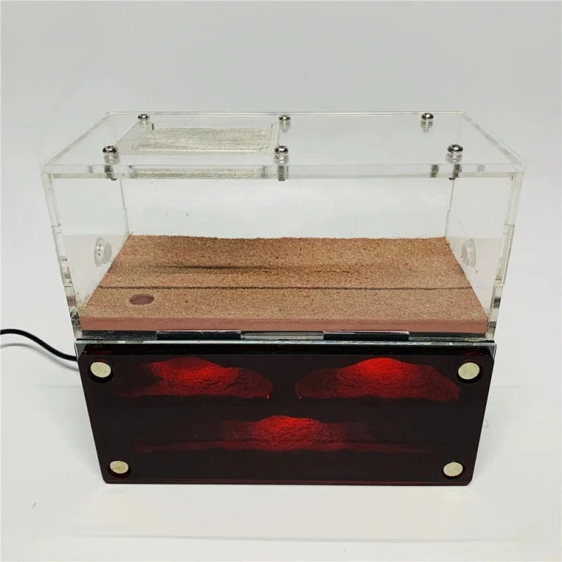 The Ant Castle Petting Farm Workshop Is Easy to Observe the Reproduction of Large Capacity Concrete ant nest
