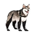 New Design Reflective Waterproof Pet Dog Shoes Four Seasons Elastic Dog Boots with Legging Pants Rain Proof Dog Paw Protectors