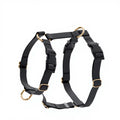 Trendy Light Weight Waterproof PVC Pet Dog Harness with Custom Service