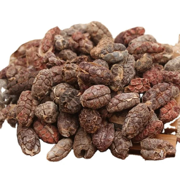 Hotsale Spice Material Amomum Villosum Natural Shelled Amomum Villosum Fruits Whole Kernel Without Hull
