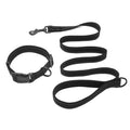 Reflective Plain Nylon Pet Collar and Leash Set Classic Durable Adjustable Solid Dog Collar with Leash