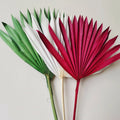 Most Selling Preserved Mini Palm Dried Plants for Wedding Valentine's Day & Mother's Day Decor-3-5 Years Longevity