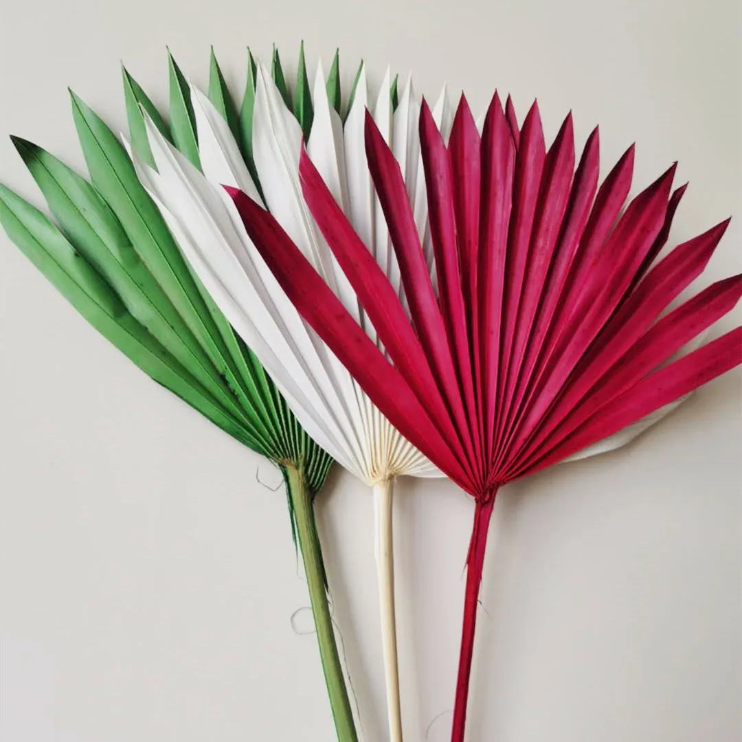 Most Selling Preserved Mini Palm Dried Plants for Wedding Valentine's Day & Mother's Day Decor-3-5 Years Longevity