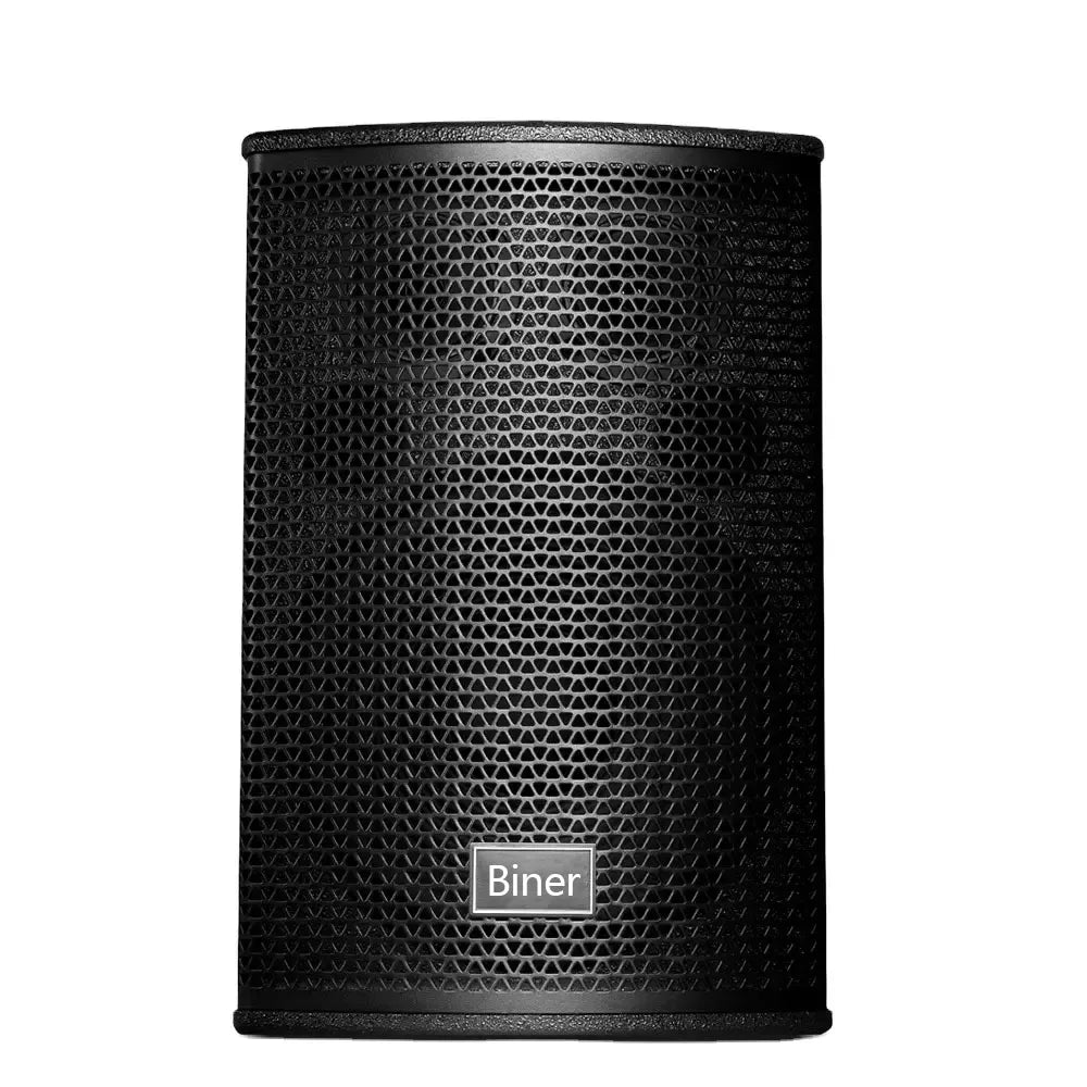 Biner D200 High Quality 10 Inch 100W Professional Audio Sound System Speaker for Family Cinema KTV