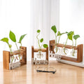 Wholesale Wooden Frame Vases Creative Glass Vases Modern Simple Living Room Decoration Green Plant Vase