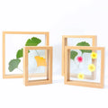 Hot Sale Mdf Material Float Frame Double Glass Plant Specimen Photo Picture Frame for Home Decoration