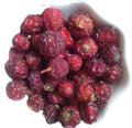 Wholesale Japanese Dried Wild Natural Rosa Multiflora Fruits Hips Multiflora Rose Fruit for Tea