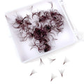 500 Fans Brown Color Loose Fans Lashes  Pro Made Wispy Loose Promade Fans Eyelash