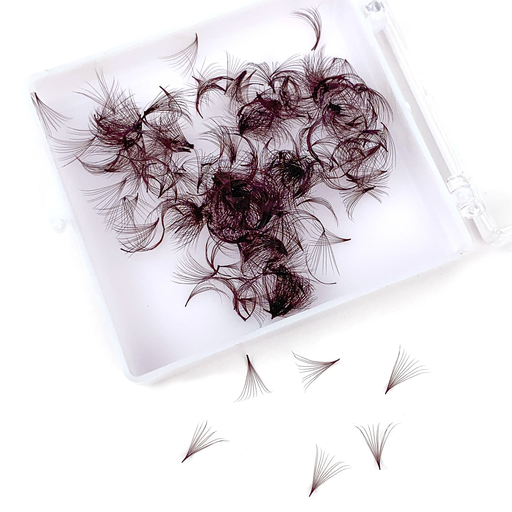 500 Fans Brown Color Loose Fans Lashes  Pro Made Wispy Loose Promade Fans Eyelash