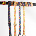 Waterproof Private Label Custom Pvc Dog Collar Set Leash Leash for Dog With Gold Accessories and Logo