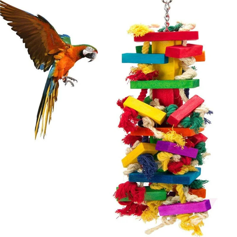 Direct Factory Sale Colorful Eco-Friendly Waterproof IPX5 Wooden Bird Toys Medium-Sized Birds Cockatiels Bowls Feeders 0.5kg