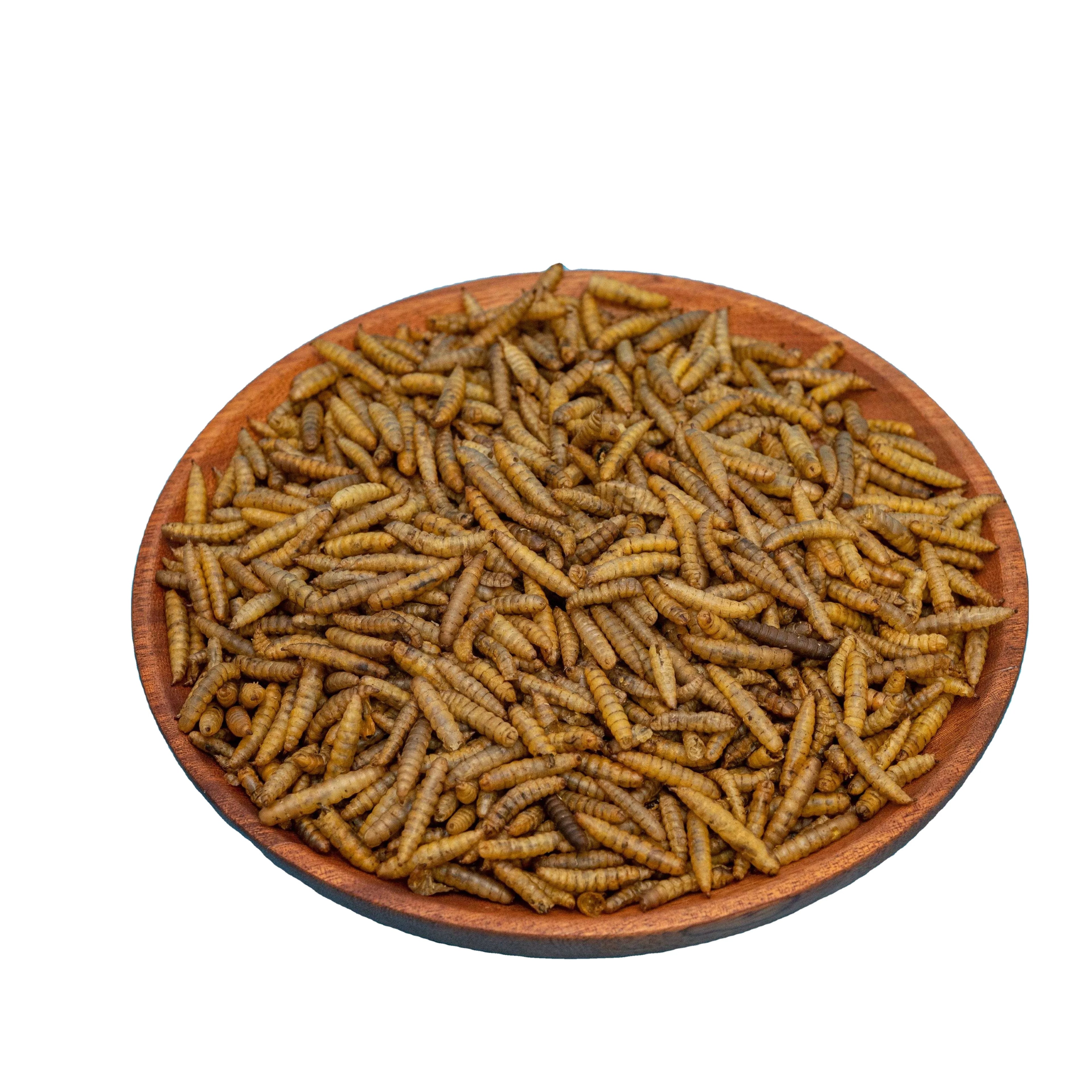 Microwave-dried 35% Protein Black Soldier Fly Larvae