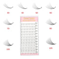 6D 8D 10D 12D 14D C D CC Pointy Base Pre Made Lash Extension Fans Lash Tray Premade Fans Eyelash Extensions