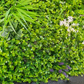 UV Protected Vertical Grass Mats Fence Outdoor Artificial Plant Wall