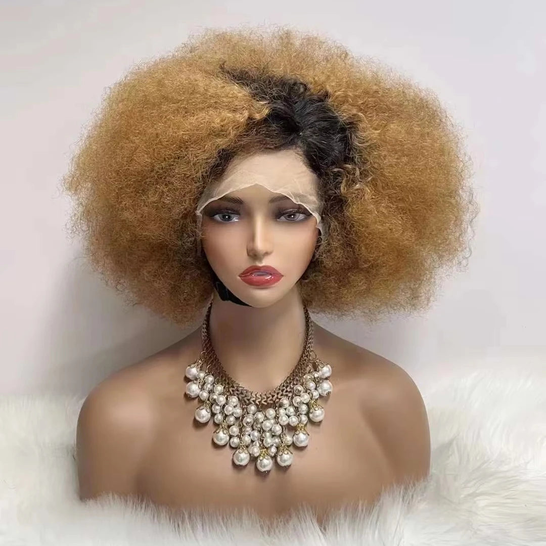 Wholesale Afro Ombre Color 13x4 Transparent Lace Full Frontal Human Hair Wigs 12a Virgin Human Hair Glueless HD Full Lace Wig