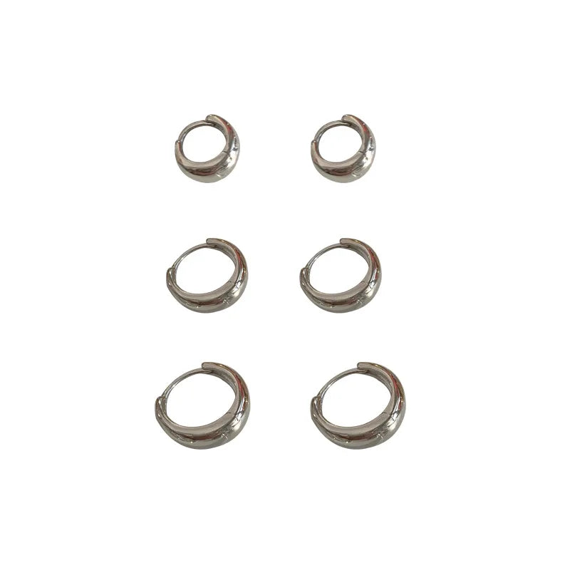 Temperament Thick Earring 925 Sterling Silver Female Niche Retro High Sense of Design Sense of Light Luxury Circle Earrings