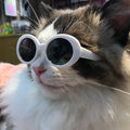 Wholesale Hot Selling Black Red Fashion Dog Cat Sunglasses Pet Accessories