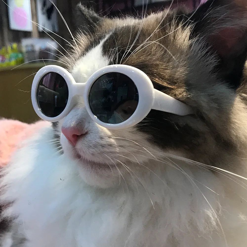 Wholesale Hot Selling Black Red Fashion Dog Cat Sunglasses Pet Accessories