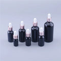 Empty Essential Oil Bottle Packaging 5ml 10ml 15ml 20ml 30ml 50ml 100ml Shiny Black Glass Dropper Bottles with Rose Gold Dropper