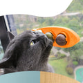 Non-toxic Catnip Ball Set for Cat Safe Teeth Grinding Catnip Balls Kitty Toys Teeth Cleaning Dental Chew Lick Cat Toy