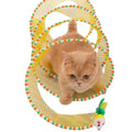 Funny Double-Head Interactive Cat Toy S Shape Collapsible cat Tunnel  Interactive Cat Teaser Toy for Indoor