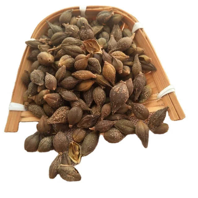 Lian Qiao Bulk Natural Dried Fructus Forsythiae Health Herbal Tea 1kg/pack