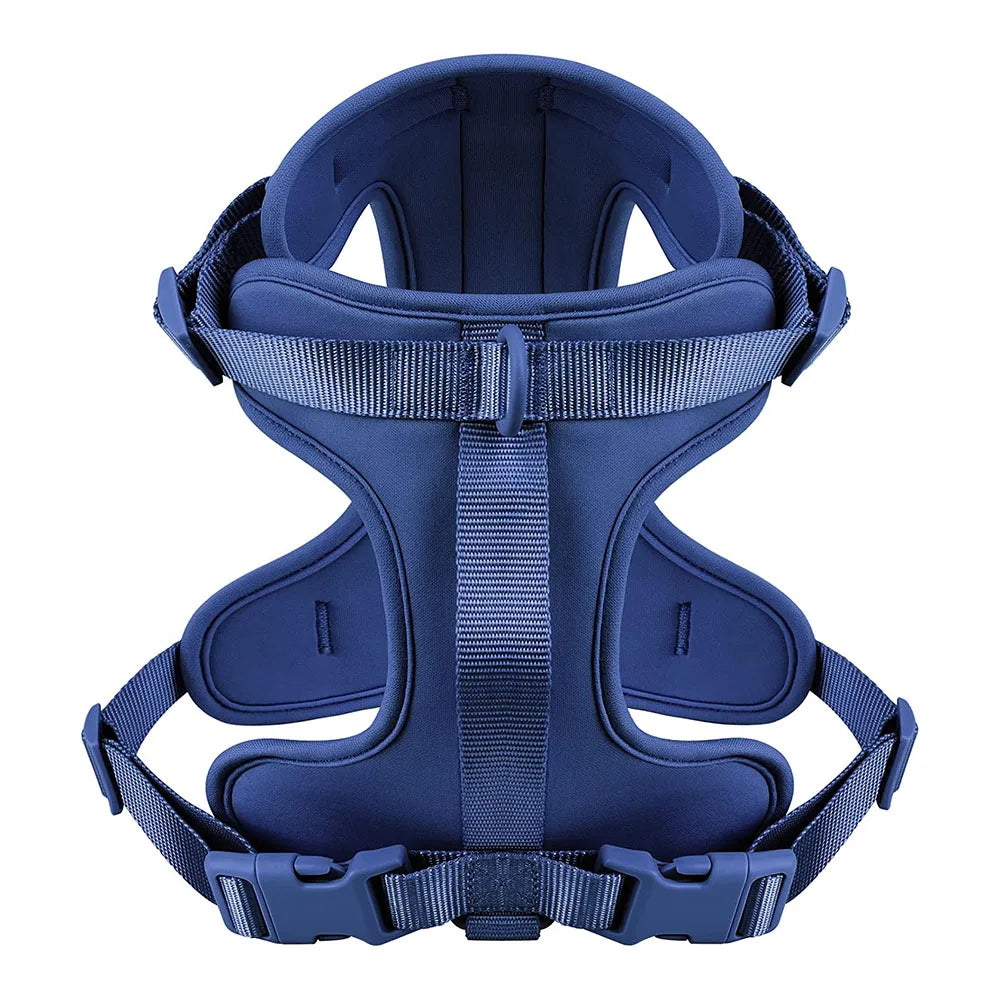Wholesale Personalized Colorful Designer Sport Polyester/Nylon Strap Adjustable with Handle Pulling Dog Harness S/M/L