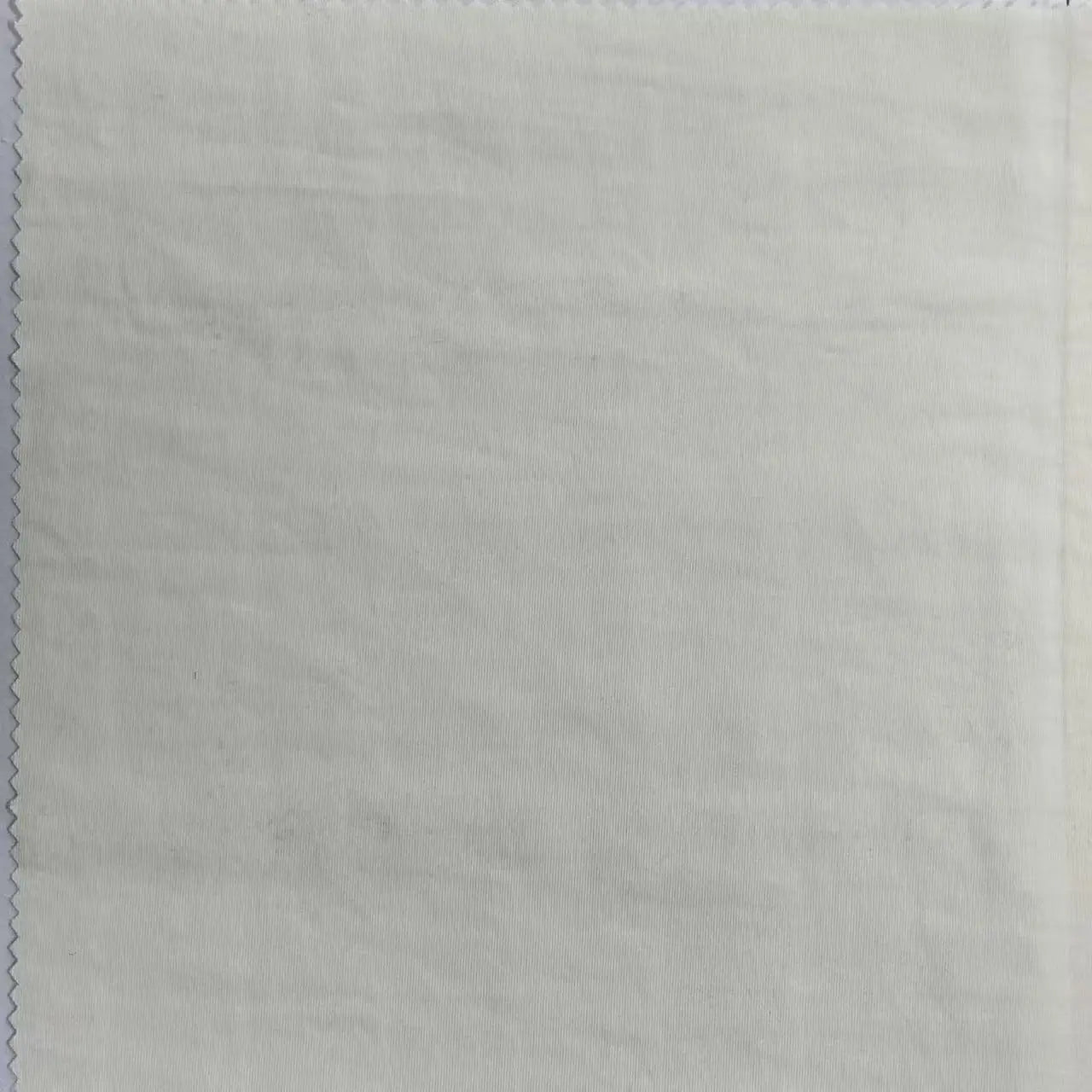 Explosive New Products 280T Encrypted Nylon Taslon Fabric with Tear Resistance Waterproof and Stretchability