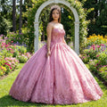 Rose Quinceanera Dresses Ball Gown 3D Flowers Off Shoulder Sweet 15 16 Lace Puffy Prom Gowns 6567