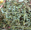 Xiao Fei Yang Cao Wild Dried Thymifoious Euphorbia Functional Herb for Sale