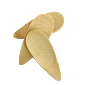 Tailai Bamboo Polished Mini Salt Spoon Short Handle for Spice Jars Condiments Tea Coffee-Sustainable Reusable Modern Design Home