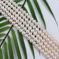 ZHUJI Natural 8-9mm White Potato Freshwater Pearls Beads Strands for Sale