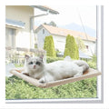 Custom Plastic Cat Window Perch Silicone Sucker Mounted Pet Seat Window Mounted Cat Bed Hammock for Cat Sleeping