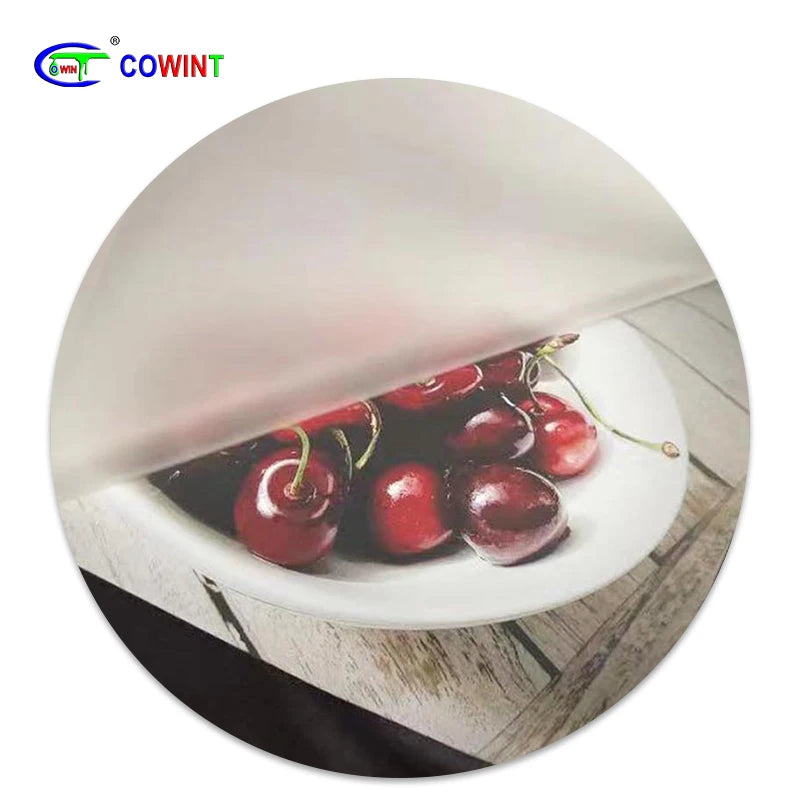 Double-Sided PET Film for T-Shirt Printer High-Temperature Heat Transfer DTF Printing Solution for Clothing Applications
