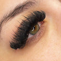 Cashmere Lash Extensions Wholesale Eyelash Extension Mink Vendor Individual Mink Eyelash Extensions Silk Mink