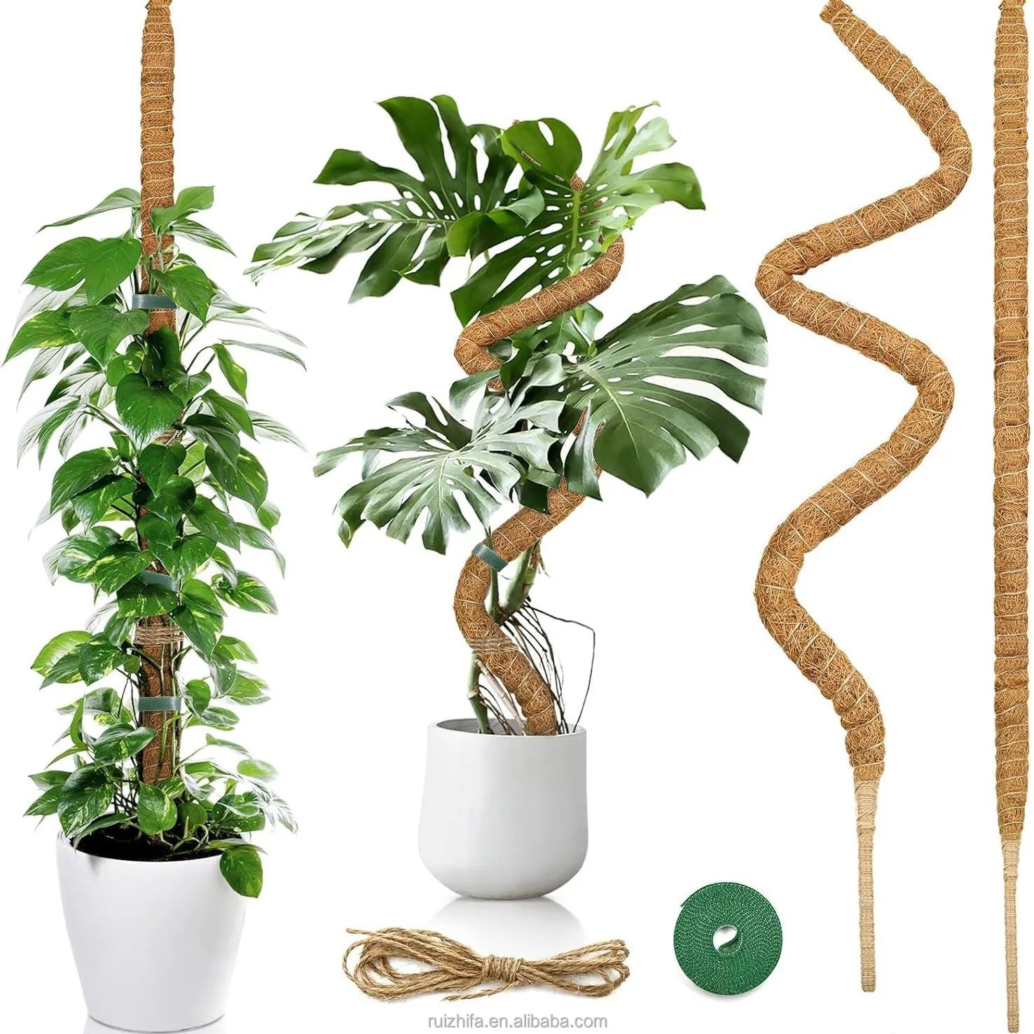 Factory Sale Set of Bendable Coco Coir Moss Poles Eco-Friendly Outdoor & Garden Climbing Plant Support for Monstera Flower Pots