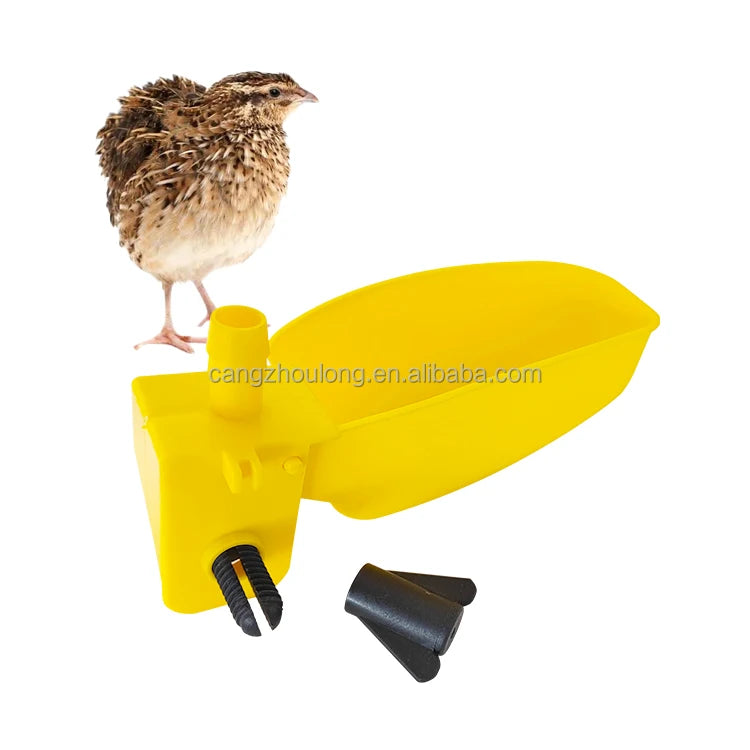 YYX LMB08 Pigeon Drinkers High Quality Bird Drinking System Quail Automatic Water Bowl Pigeon Cage Drinker Cup Pigeon Drinker