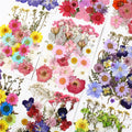 Y-E009 Dry Rose Flower With Stem Materials DIY Plant Flower Specimens Real Natural Dried Pressed Flower for Decor