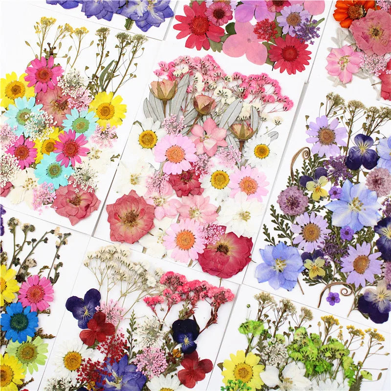 Y-E009 Dry Rose Flower With Stem Materials DIY Plant Flower Specimens Real Natural Dried Pressed Flower for Decor