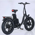 Electric Folding Bicycle 20 Inch 48V500w/1000w High Power Assist Bicycle Best Quality Electric Bike Adult Electric Bike L20