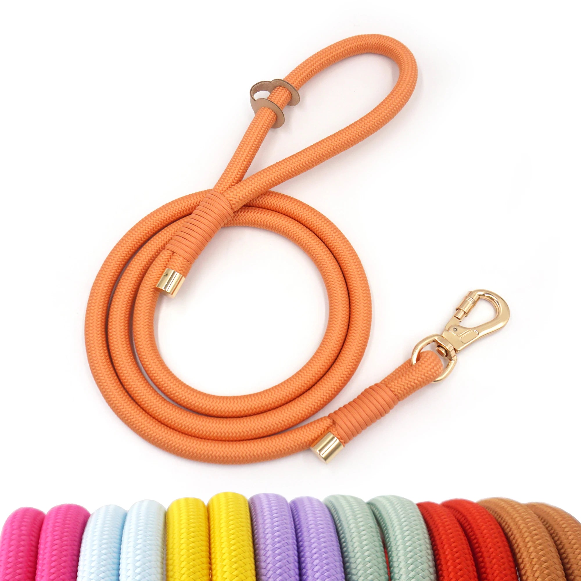 Pets 2024 Fashion Trends Personalized Pet Rope Leash Colorful Polyester Dog Leash Luxury Long Leash for Dog Training
